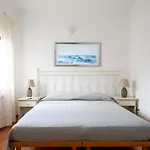 Sea Shell - Klodge